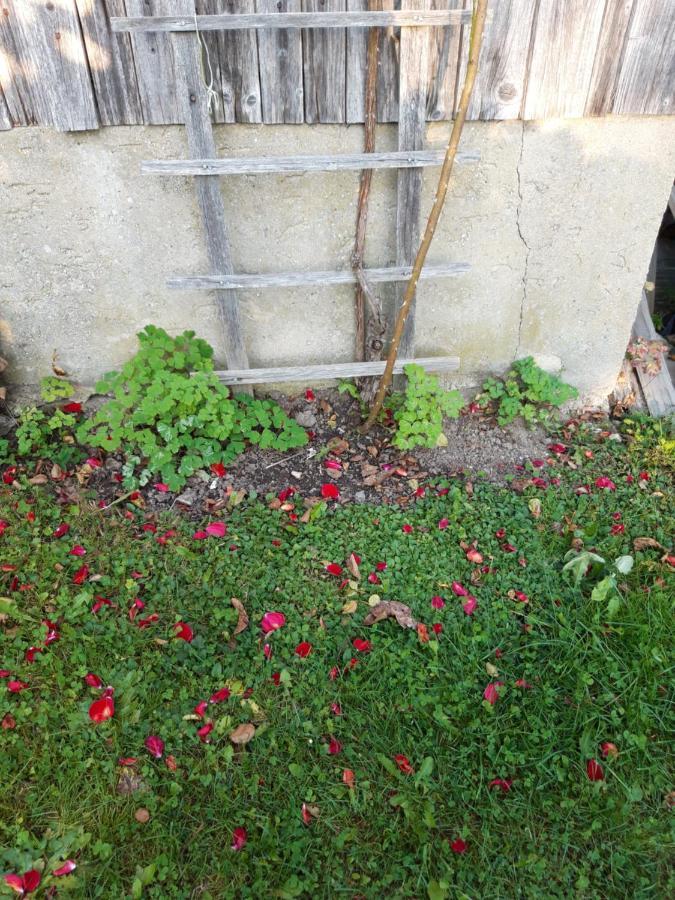Ferienwohnung Im Seidlerhof Mit Balkon Und Garten Röhrnbach Exterior foto